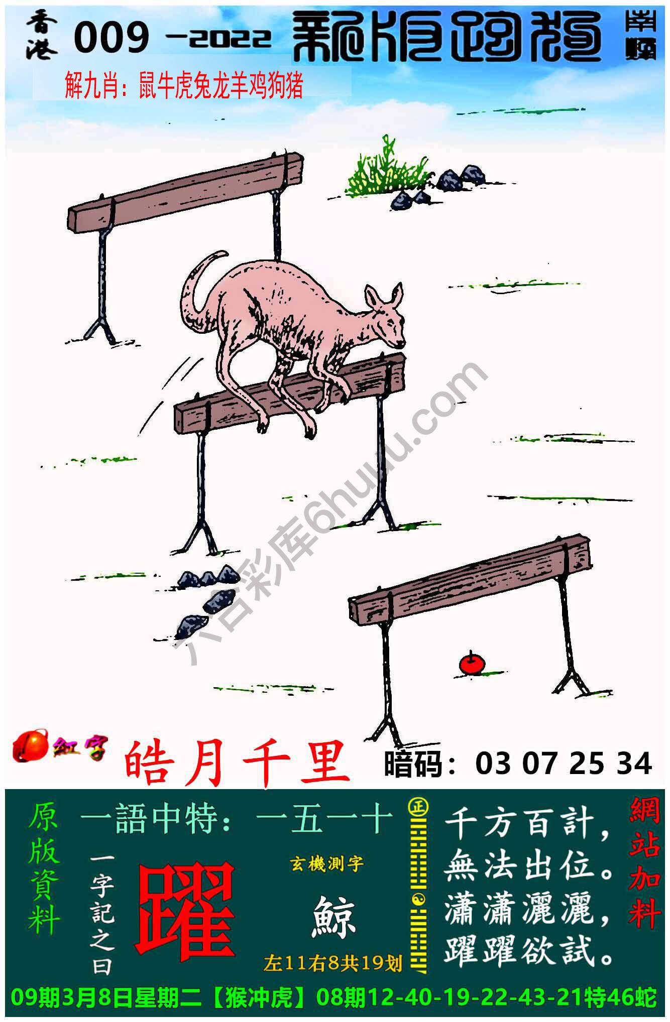 跑狗图（新版）