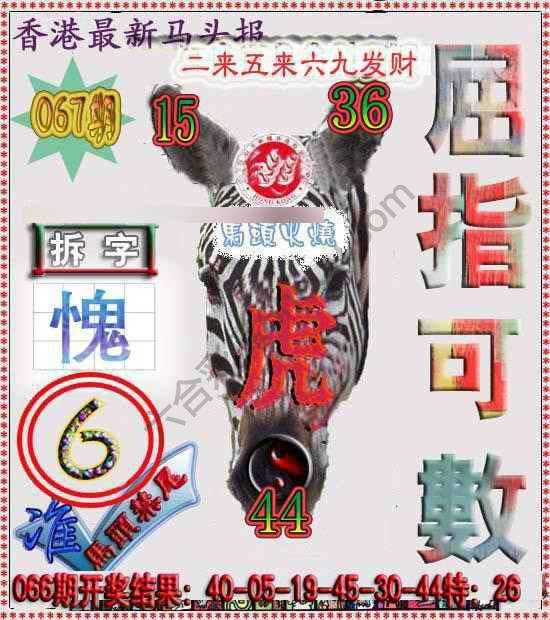 香港马头报