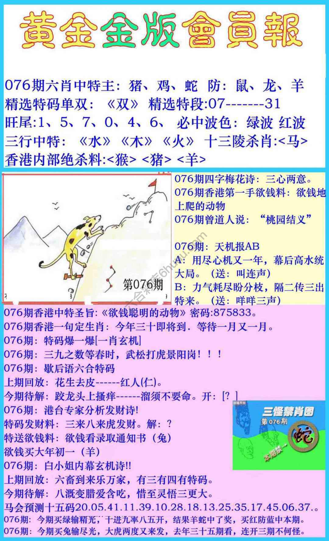黄金金版会员报